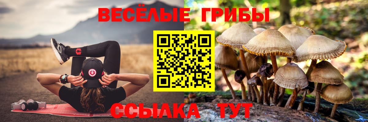 Галлюциногенные грибы ЛСД Гай
