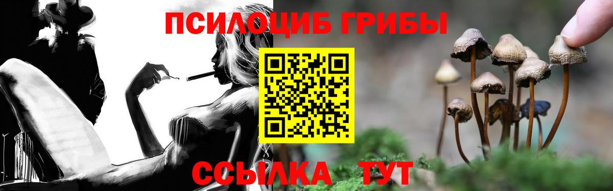Гай  купить наркоту  Вход с VPN  Псилоцибиновые грибы Psilocybine cubensis  Галлюциногенные грибы Cubensis 